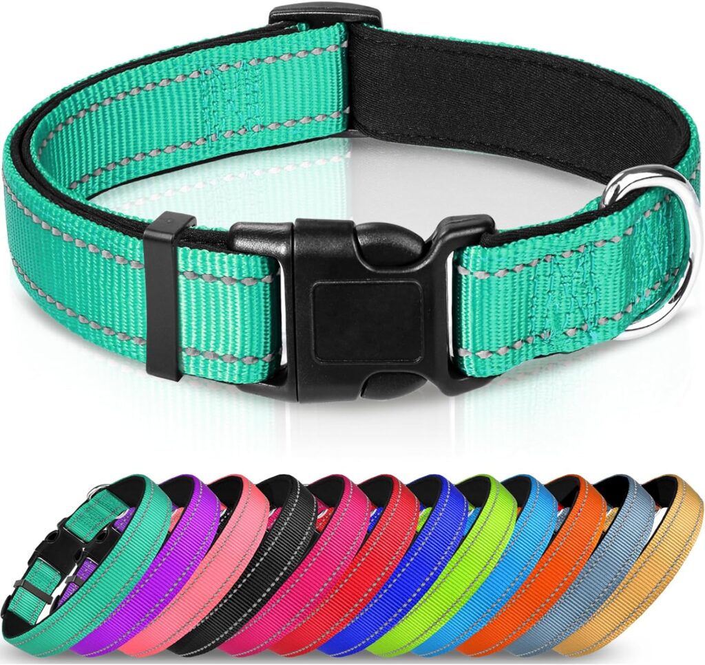 Joytale Reflective Dog Collar,Soft Neoprene Padded Breathable Nylon Pet Collar Adjustable for Medium Dogs,Teal,M