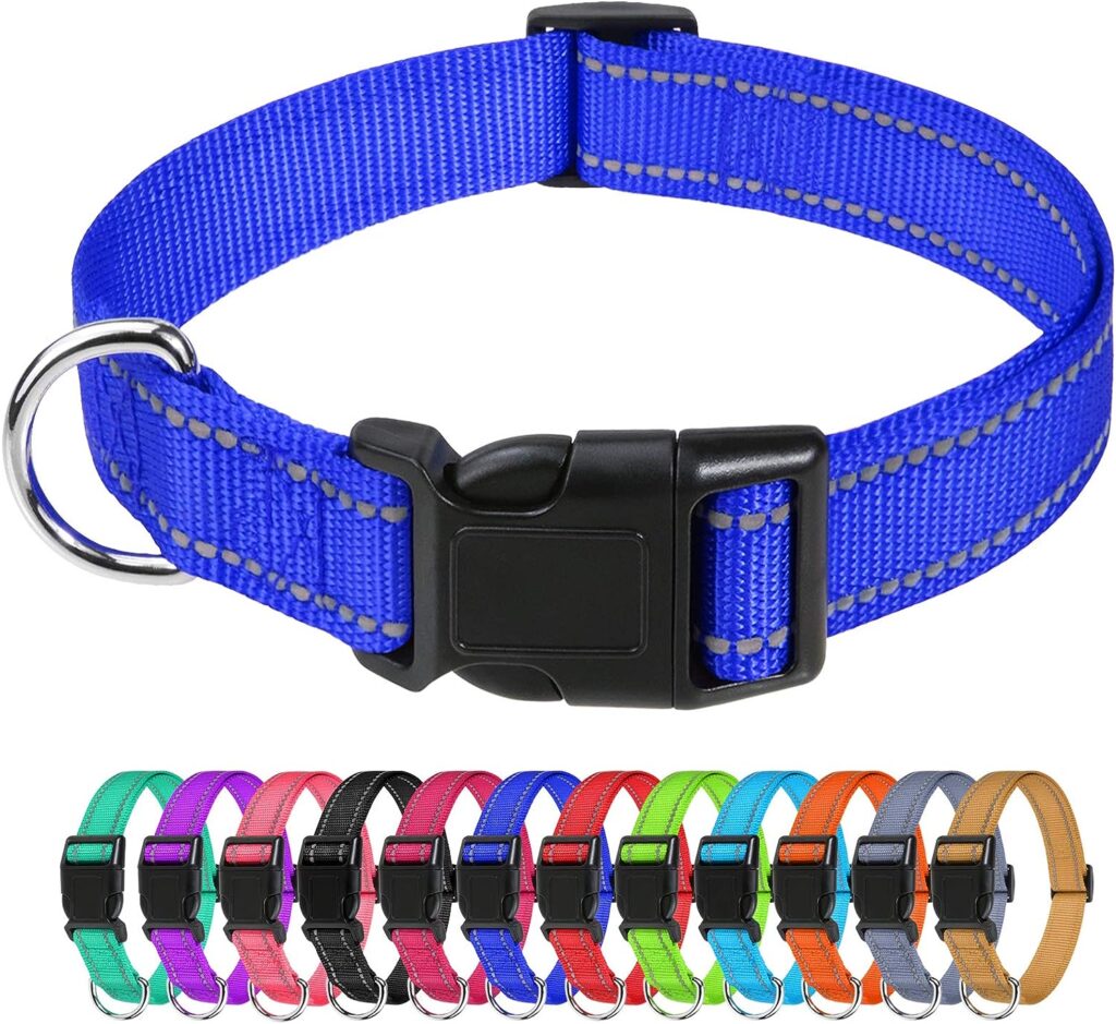 TagME Reflective Nylon Dog Collars, Adjustable Classic Dog Collar with Quick Release Buckle for Small Dogs, Royal Blue, 5/8 Width